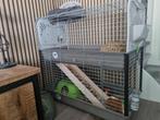 Cavia flat, Dieren en Toebehoren, Knaagdieren en Konijnen | Hokken en Kooien, Minder dan 60 cm, Kooi, 110 cm of meer, Ophalen of Verzenden