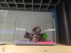 mooie kleine aquarium, Dieren en Toebehoren, Vissen | Aquaria en Toebehoren, Ophalen of Verzenden