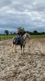 Lieve kinder pony., Dieren en Toebehoren, Pony's, Gechipt, Ruin, Zadelmak, 3 tot 6 jaar