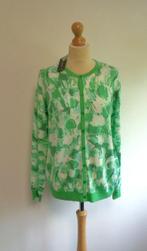 nieuw vest van Micha xxl, Kleding | Dames, Trui of Vest, Nieuw, Ophalen of Verzenden, Micha.