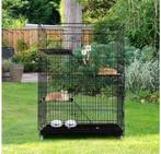 kattenkooi, Diensten en Vakmensen, Dieren | Katten | Verzorging, Oppas en Les