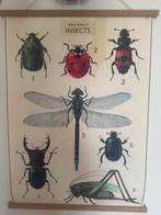 poster insecten, Ophalen of Verzenden