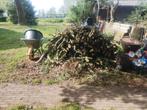 Gratis snoeiafval dikke takken brandhout, Minder dan 3 m³, Takken, Ophalen, Overige houtsoorten