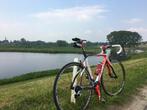 Pinarello Quattro FP4 Ultegra 10 speed framemaat 53, 10 tot 15 versnellingen, Overige merken, Overige maten, Carbon