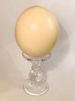 Struisvogel ei, Antiek en Kunst, Ophalen of Verzenden