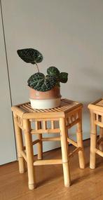 Bamboe rotan vintage bijzettafel plantentafel krukje, Ophalen, Minder dan 45 cm, Minder dan 55 cm, Gebruikt
