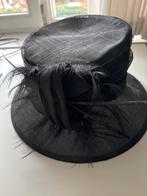 Elegante zwarte hoed met veren, Ophalen of Verzenden, Nieuw, One size fits all, Hoed