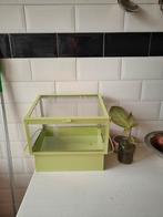 Kweekkast x2, Tuin en Terras, Kweekspullen, Ophalen of Verzenden, Zo goed als nieuw