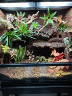 Exo Terra Terrarium 90x45x90, Dieren en Toebehoren, Ophalen, Zo goed als nieuw