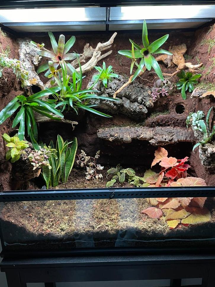 Exo Terra Terrarium 90x45x90, Dieren en Toebehoren, Reptielen en Amfibieën | Toebehoren, Zo goed als nieuw, Ophalen