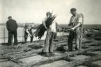Vlieland dijkwerkzaamheden met rijsmatten, Ophalen of Verzenden, 1920 tot 1940, Ongelopen, Waddeneilanden