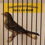 Mexicaanse roodmus man, Mannelijk, Tropenvogel