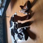 Mustang laarsen maat 39, Kleding | Dames, Schoenen, Ophalen of Verzenden, Zo goed als nieuw, Rood