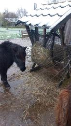 Verzorger gezocht 16+, Dieren en Toebehoren, Stalling en Weidegang