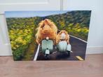 Nieuw canvas schilderij - cavia's op scooter, Ophalen, 50 tot 75 cm, Nieuw, Schilderij