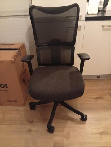 Flexispot BS8PB Bureaustoel - Nieuw in Doos! beschikbaar voor biedingen