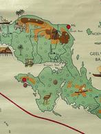 Nederlands Nieuw-Guinea, Antiek en Kunst, Antiek | Schoolplaten, Ophalen of Verzenden, Aardrijkskunde