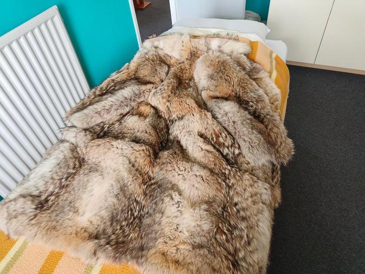 Mega dikke bontjas van coyotebont L/XL Super warm en zacht, Kleding | Dames, Jassen | Winter, Zo goed als nieuw, Maat 42/44 (L)