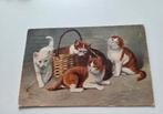 Kittens spelen rond een mand, Verzenden, Voor 1920, Gelopen, Hond of Kat