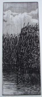 Frans Room - (1939-2023) - Riet D - ets - 1976 - nr. 10/10, Ophalen of Verzenden