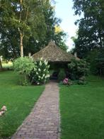 haan van rieten stolp overkapping, Tuin en Terras, Windwijzers en Windmolens, Ophalen, Gebruikt