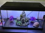 Aquarium set met inrichting, Dieren en Toebehoren, Ophalen, Zo goed als nieuw, Leeg aquarium