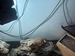 Baardagame met terrarium, Dieren en Toebehoren, Reptielen en Amfibieën, Overige soorten, Met terrarium, 3 tot 6 jaar