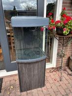 Sera marine 130 liter zeeaquarium met toebehoren, Dieren en Toebehoren, Vissen | Aquaria en Toebehoren, Ophalen, Gebruikt, Leeg aquarium