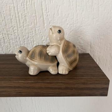 Ontdeugende schildpadden peper en zoutstel beschikbaar voor biedingen