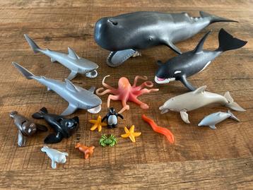 Playmobil Zeedieren Set potvis, haai inktvis dolfijn etc beschikbaar voor biedingen