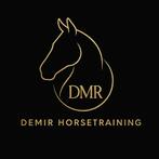 Stalling gevraagd tbv trainingspaarden, Dieren en Toebehoren, Stalling en Weidegang, Stalling