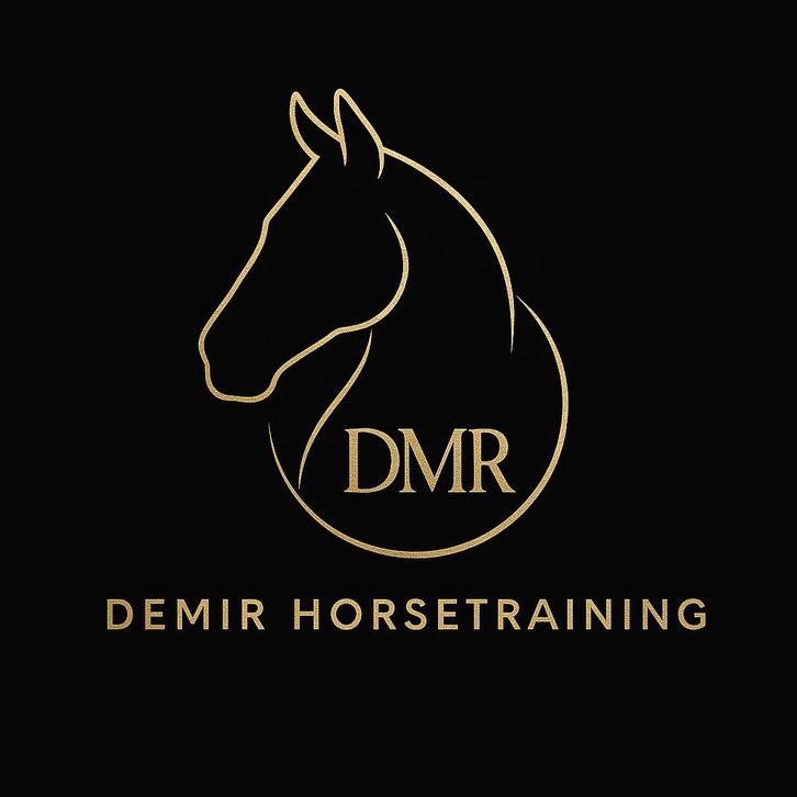 Stalling gevraagd tbv trainingspaarden, Dieren en Toebehoren, Stalling en Weidegang, Stalling