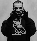 2 Official Platinum Tickets Drake 31 juli, prijs per ticket, Tickets en Kaartjes, Concerten | R&B en Hiphop, Twee personen, Juli