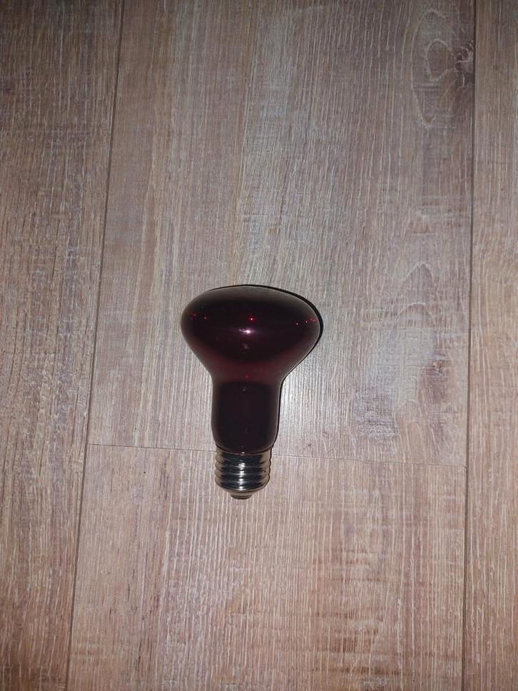 Warmtelamp 75 watt, 220-240V|Voor kuikens en ander gevogelte, Dieren en Toebehoren, Pluimvee | Toebehoren, Nieuw, Kippenhok of Kippenren