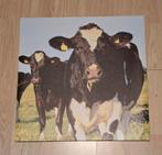 Canvas Schilderij Koe - 50x50 cm, Ophalen