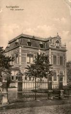 Appingedam Villa Buitenlust # 829, Verzenden, Voor 1920, Gelopen, Groningen