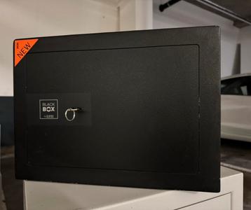 Topkwaliteit Lips Blackbox kluis en Brandkast beschikbaar voor biedingen