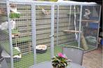 Kattenren B=480 x D=180 x H= 180cm gegalvaniseerd