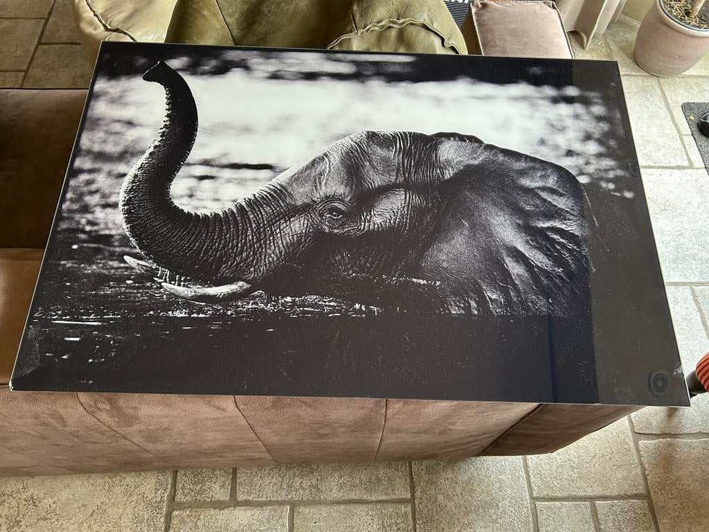 Yellowkorner olifant, Gebruikt, Ophalen of Verzenden, Schilderij, 75 tot 100 cm
