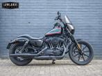 HARLEY-DAVIDSON SPORTSTER IRON 1200 XL 1200 NS (bj 2021), Motoren, 2 cilinders, HARLEY-DAVIDSON, Bedrijf, Meer dan 35 kW