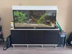 Juwel Aquarium 1x40 bieden mogelijk!, Dieren en Toebehoren, Vissen | Aquaria en Toebehoren, Ophalen, Zo goed als nieuw, Leeg aquarium