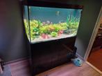 atlantis sublime 120x60x70 met co2, Dieren en Toebehoren, Vissen | Aquaria en Toebehoren, Ophalen, Gebruikt, Gevuld zoetwateraquarium