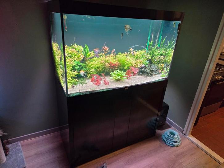 atlantis sublime 120x60x70 met co2, Dieren en Toebehoren, Vissen | Aquaria en Toebehoren, Gebruikt, Gevuld zoetwateraquarium, Ophalen