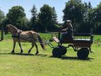 Menkar rijtuig, Dieren en Toebehoren, Rijtuigen en Koetsen, Zo goed als nieuw