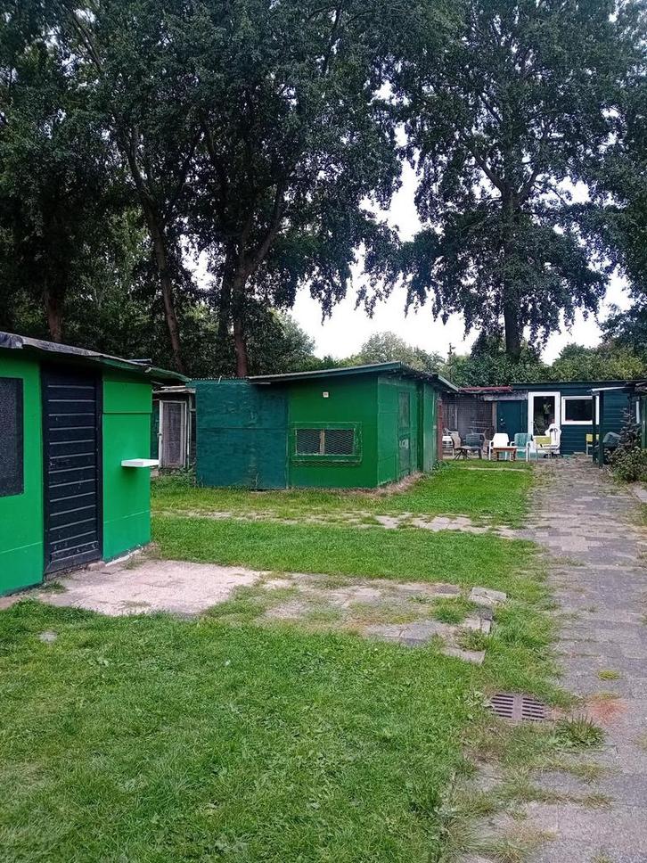 Tuinhuisje met kooien en tuin, berging, schuur hobbyruimte, Tuin en Terras, Tuinhuizen, Zo goed als nieuw, Tuinhuis, Hout, 400 cm of meer