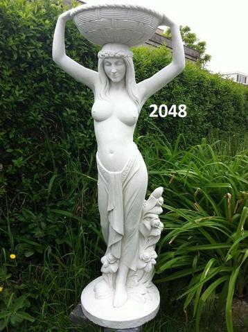 Vrouw met schaal beschikbaar voor biedingen