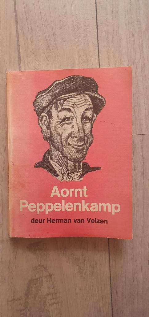 Tweedehands boek Aornt Peppelenkamp door Herman van Velzen, Boeken, Biografieën, Gelezen, Ophalen of Verzenden