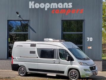 Pössl 2 Win R Fiat Ducato Power 180 automaat buscamper 2019 beschikbaar voor biedingen
