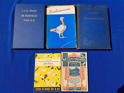 Duivenboeken postduiven Spruijt Raskenmerken en meer, Dieren en Toebehoren, Vogels | Duiven