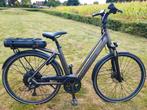 Qwic P-RD9 Performance | 625Wh | 43 km/u | Shimano Deore, Ophalen, Qwic, Gebruikt, 47 tot 51 cm